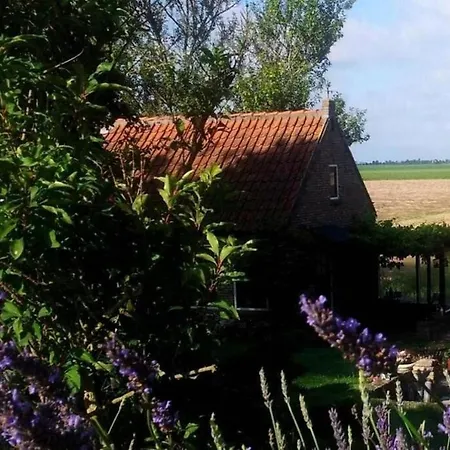 The Cottage - 2 Persoons Cottage Nabij Strand En Meer Zonnemaire Exterior photo