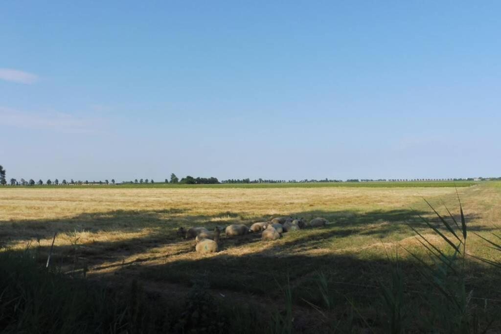 Holiday home The - 2 Persoons Nabij En *