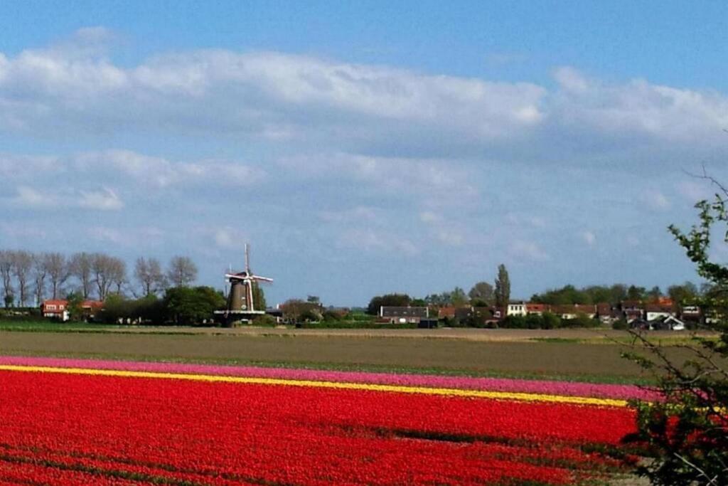 Holiday home The - 2 Persoons Nabij En Zonnemaire