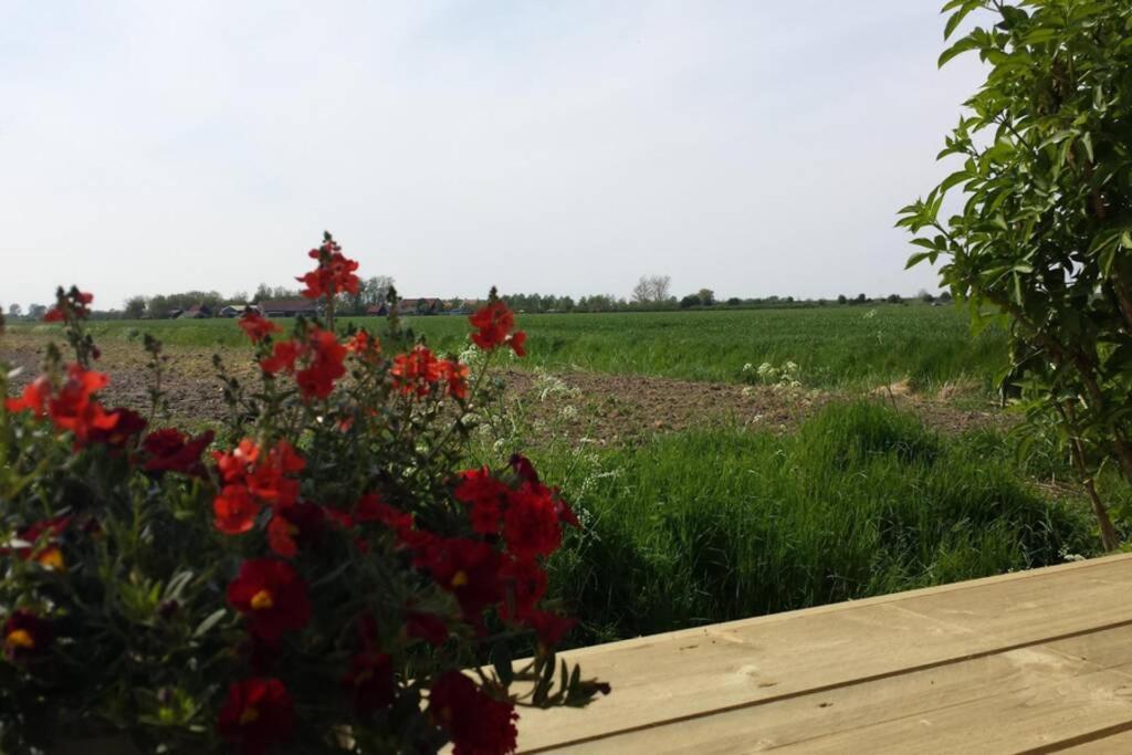 The - 2 Persoons Nabij En